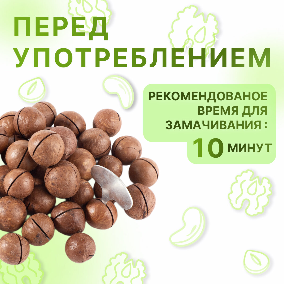 Макадамия орех (Macadamia) 500 грамм в скорлупе с распилом, свежий урожай без горечи, средний калибр - фотография № 2