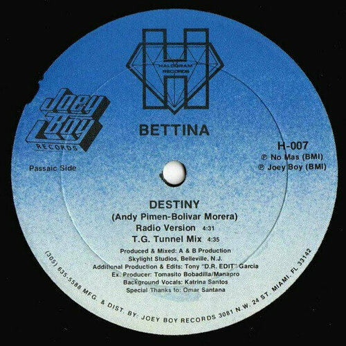 Bettina - Destiny / Винтажная виниловая пластинка / LP / Винил g mix 20x25