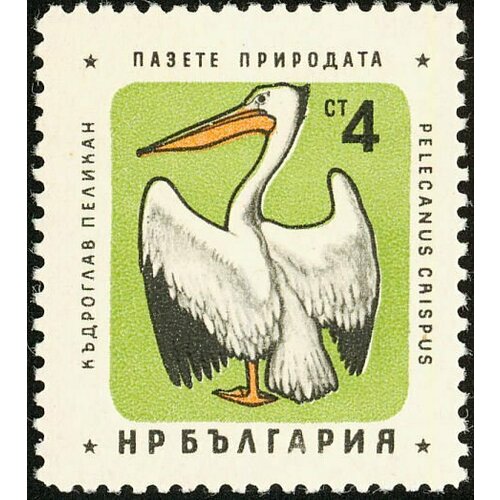 (1961-024) Марка Болгария Пеликан Охрана природы. Птицы III Θ 1984 073 марка болгария пеликан 2 всемирная охрана природы i θ