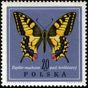 (1967-058) Марка Польша "Махаон" Бабочки II O