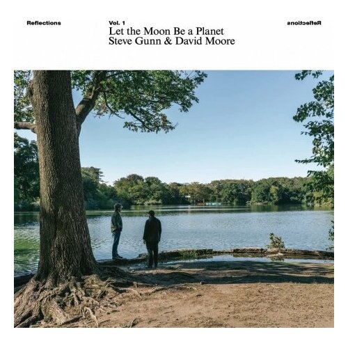 Виниловые пластинки, RVNG INTL, STEVE GUNN / DAVID MOORE - Reflections Vol. 1: Let The Moon Be A Planet (LP)