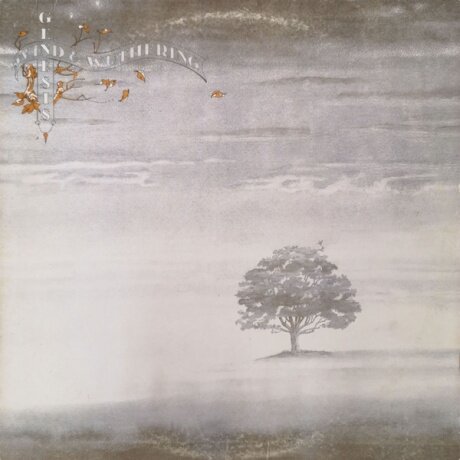 Старый винил, ATCO, GENESIS - Wind & Wuthering (LP , Used)