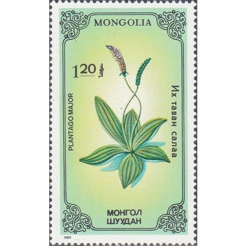 (1985-037) Марка Монголия Подорожник Растения III Θ 1985 065 марка ссср бадан толстолистный лекарственные растения сибири iii θ