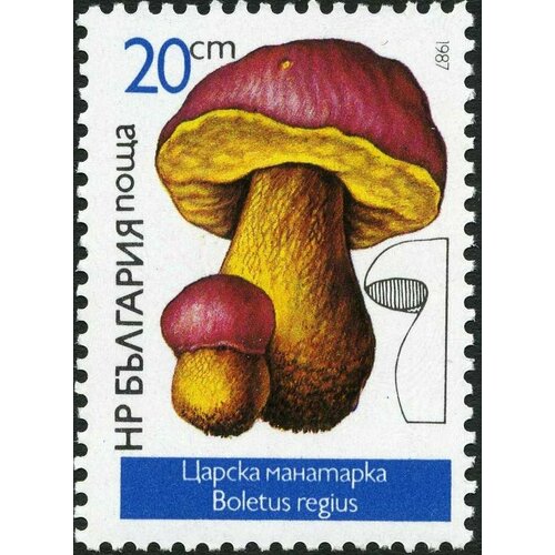 (1987-007) Марка Болгария Боровик  Грибы III Θ грибы австралийский боровик семена