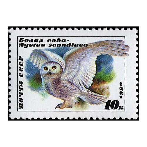 (1990-021) Марка СССР Белая сова Совы III Θ марка белая сова 1990 г