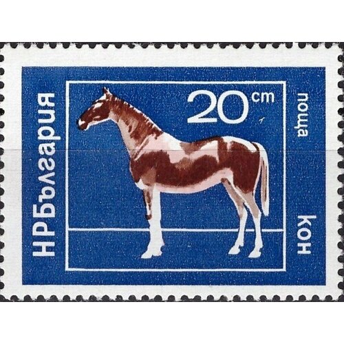 (1974-019) Марка Болгария Лошадь Домашние животные III Θ