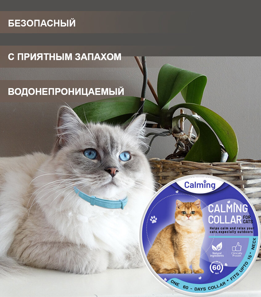 Ошейник для кошек Calming Collar успокаивающий с феромонами, голубой цвет - фотография № 2