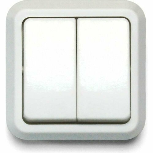 ООО Ливны-Электро Выключатель Ливны-Электро открытой установки А2-004 УХЛ 4 двухклавишный белый ВОП 16