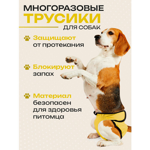Трусы для собаки во время течки многоразовые XL, подгузники для собак крупных пород впитывающие