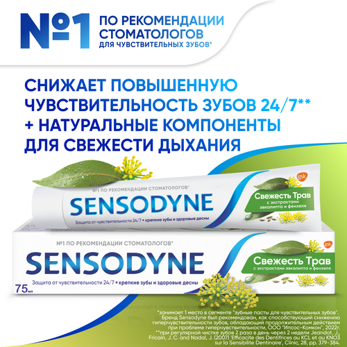 Зубная паста Sensodyne Свежесть Трав для чувствительных зубов с экстрактом трав, 75 мл