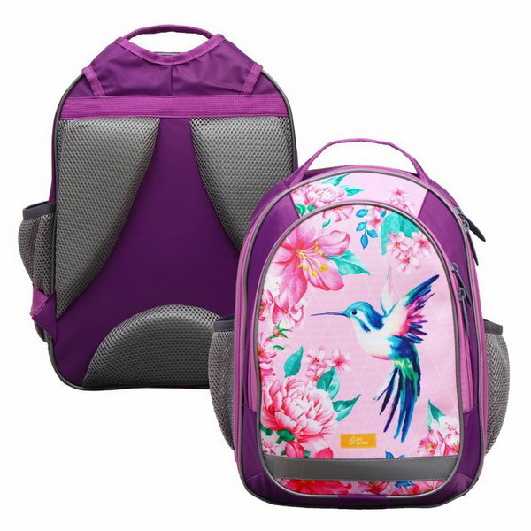 Рюкзак школьный, 37 x 27 x 16 см, эргономичная спинка, Б "Колибри", голубой/розовый