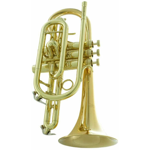 Корнет Bb CarolBrass CCR-3880-GSS-Bb-L корнет bb carolbrass ccr 3880 gss bb l