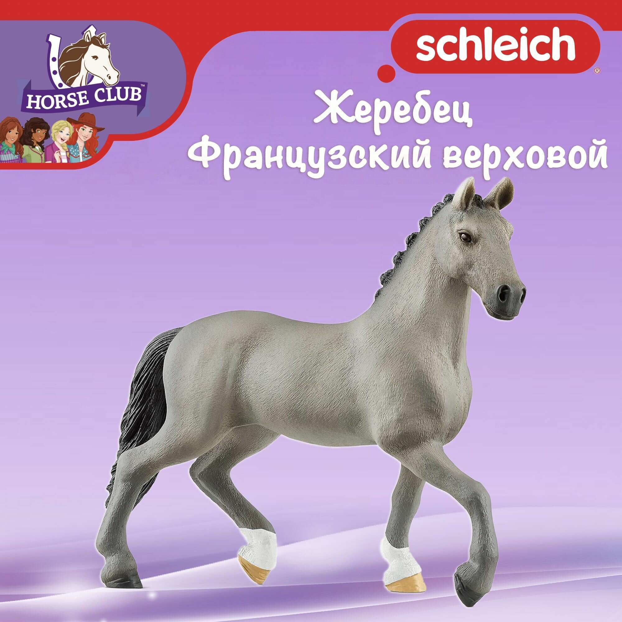 Фигурка "Жеребец Французский верховой" Schleich Horse Club/ для детей от 5 лет/ Шляйх 13956