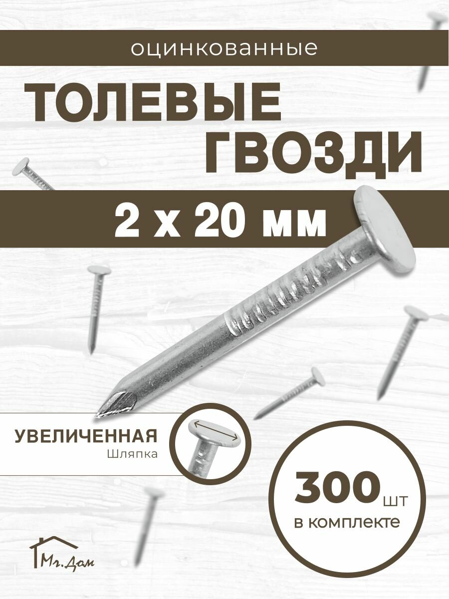 Гвоздь толевый "Mr. Дом" 2х20 - 300 шт (оцинкованный)