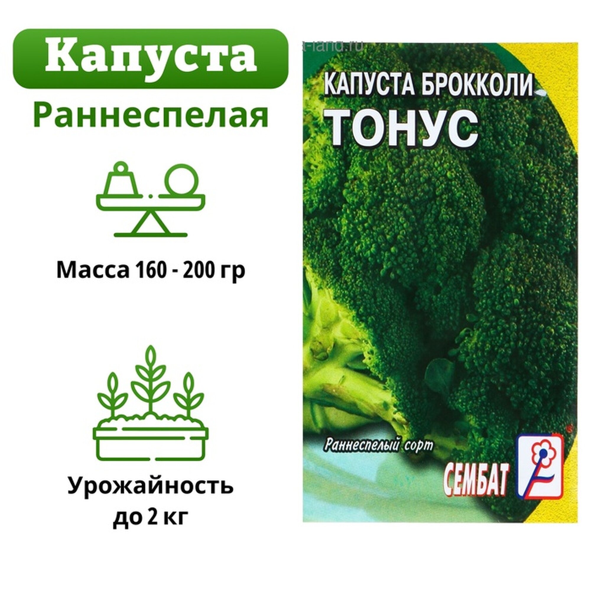 Семена Капуста брокколи 