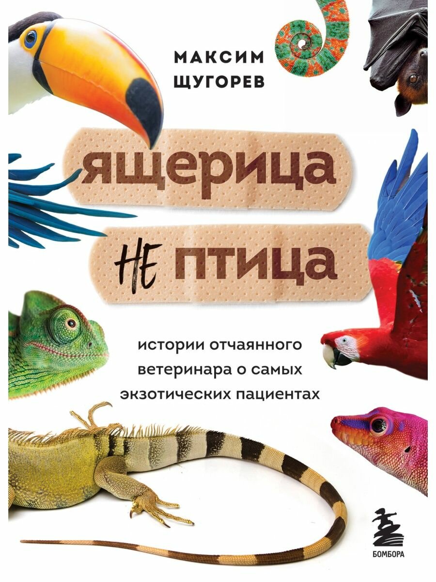 Ящерица не птица. Истории отчаянного ветеринара о самых экзотических пациентах.