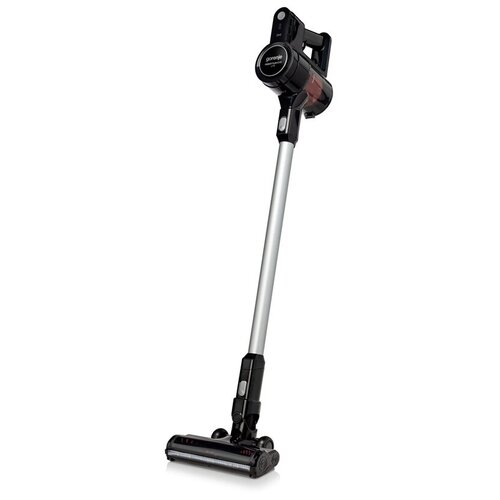 Пылесос Gorenje SVC 216 FMLBK 999000₽