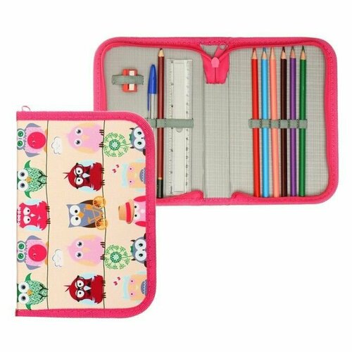 Пенал школьный на молнии ткань 1 секция с наполнением 13 х 195 см Совы 750₽