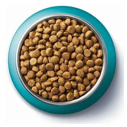 Сухой корм PURINA ONE для стерилизованных кошек, говядина/пшеница, 750 г - фотография № 2