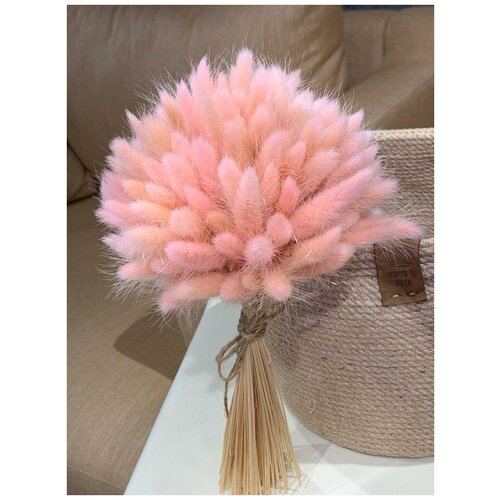 Букет из сухоцветов лагурус 27 см х 100шт.