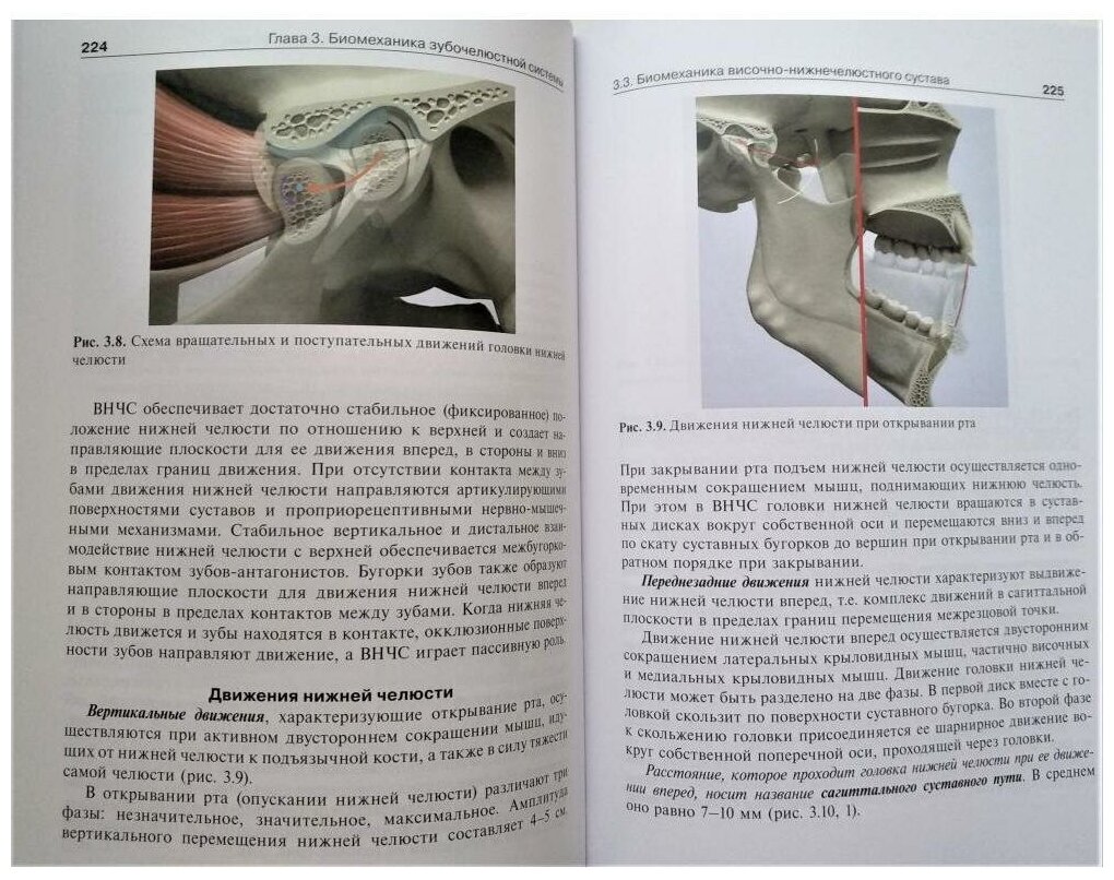 Анатомия, физиология и биомеханика зубочелюстной системы. Учебник - фото №8