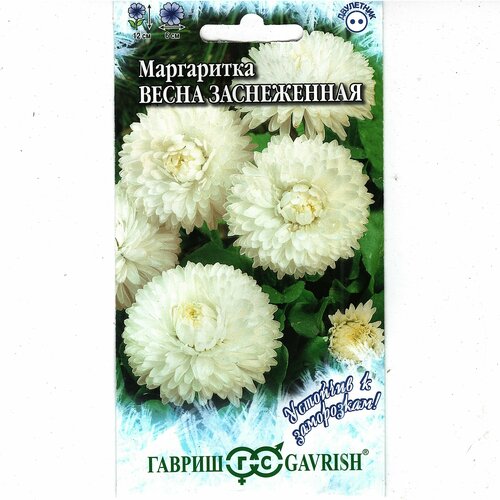 Маргаритка весна заснеженная, двулетник ( 1 уп: 0,05 г ) маргаритка весна заснеженная 0 3 гр