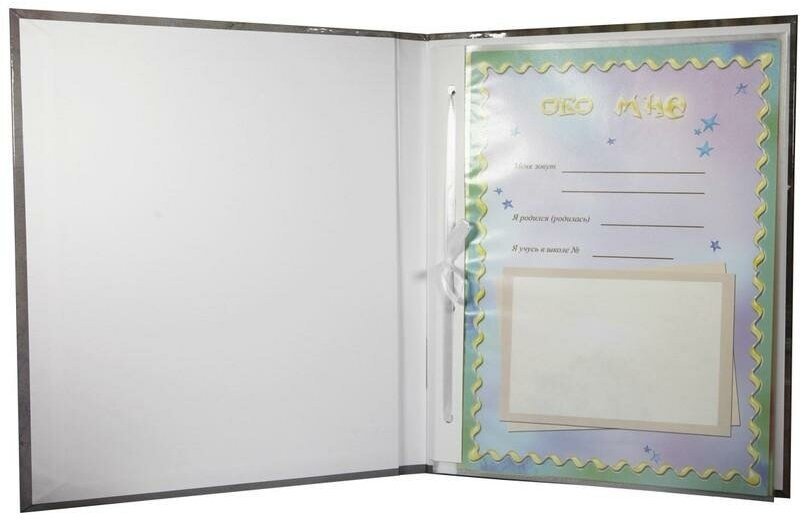 Папка-портфолио школьника "Кубок", ламинированный картон, А4, 14 файлов