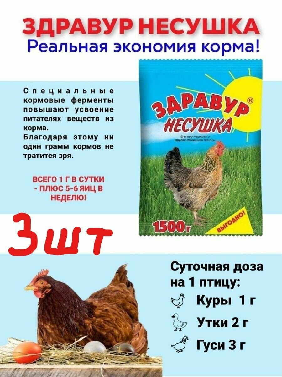 Кормовая добавка Здравур Несушка для кур и другой домашней птицы 1500 гр. 3шт по 1500гр - фотография № 2