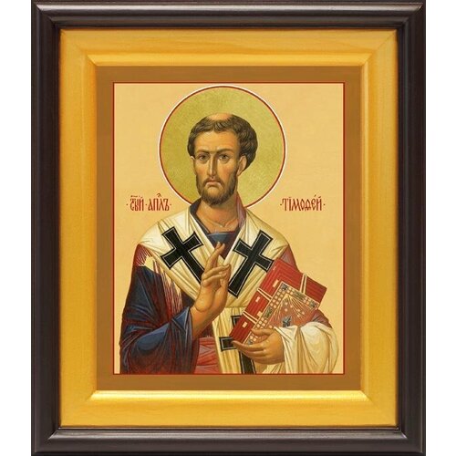 Апостол от 70-ти Тимофей Ефесский, епископ, икона в широком киоте 21,5*25 см