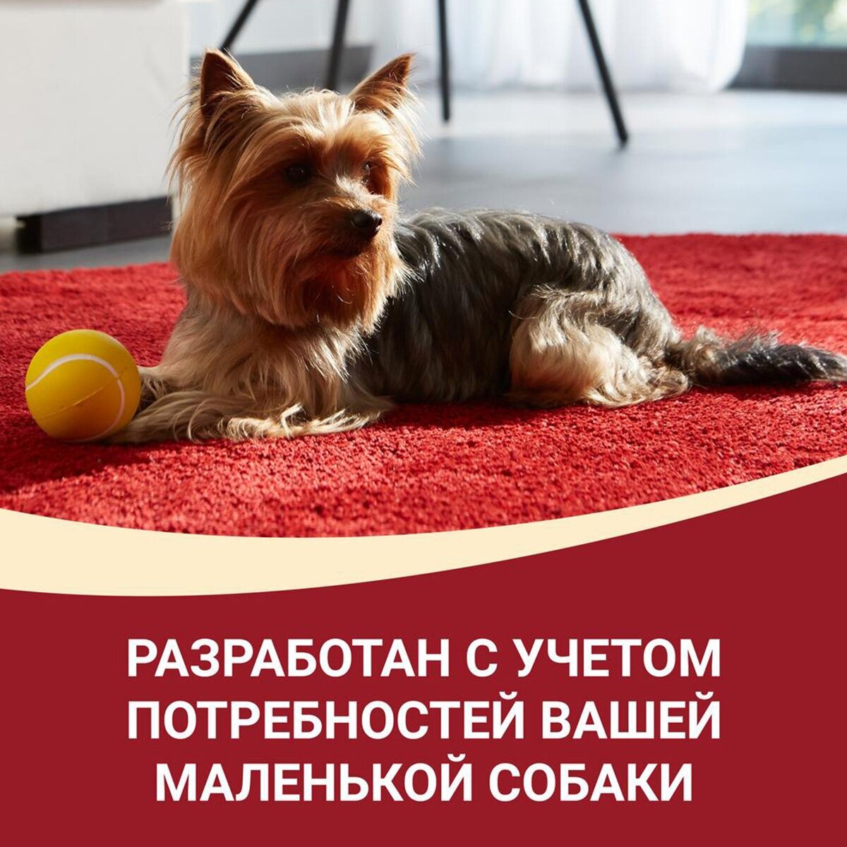 Purina One Сухой корм для собак мелких пород с курицей и рисом, 1,5 кг - фото №4