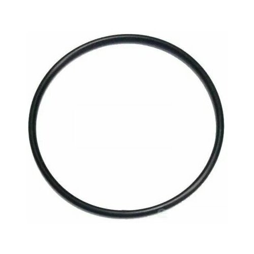 Уплотнительное кольцо (прокладка) для фильтров Ecovita Big Blue (BB) уплотнительное кольцо big blue 10 и 20 raifil 897 898