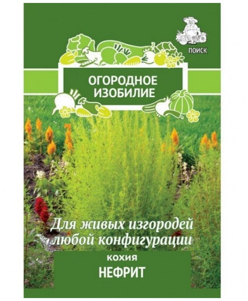 Кохия Нефрит 02г 100см (Поиск) Огородное изобилие - 10 пачек семян