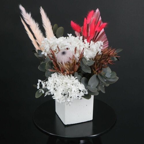 Интерьерная композиция из сухоцветов с протеей