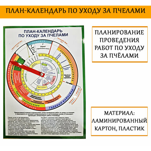 План-календарь по уходу за пчелами