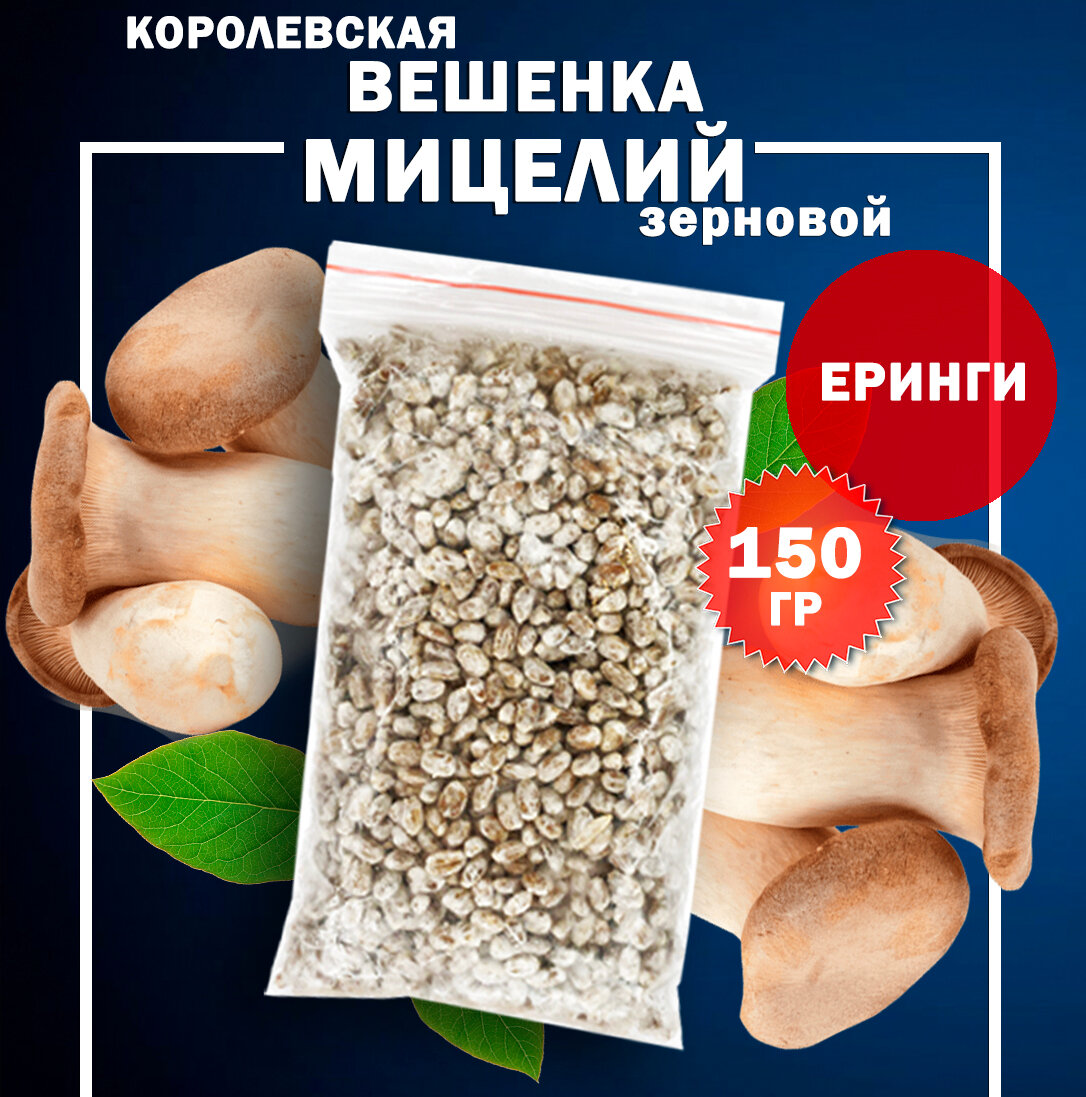 Мицелий королевской вешенки Эринги зерновой - 150 гр