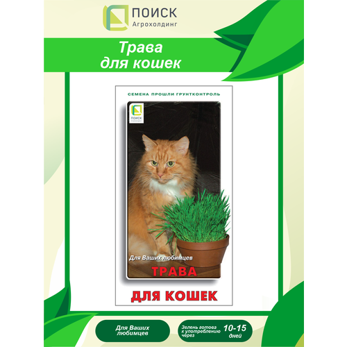Семена Трава для кошек 10 гр. набор семян зелень