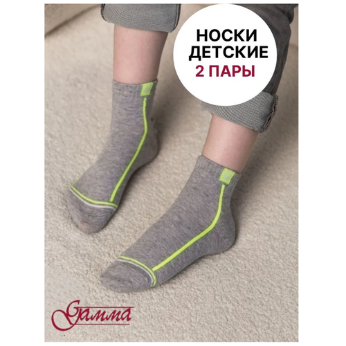 Носки Гамма 2 пары, размер 16-18(24-28), серый носки гамма 2 пары размер 14 16 серый