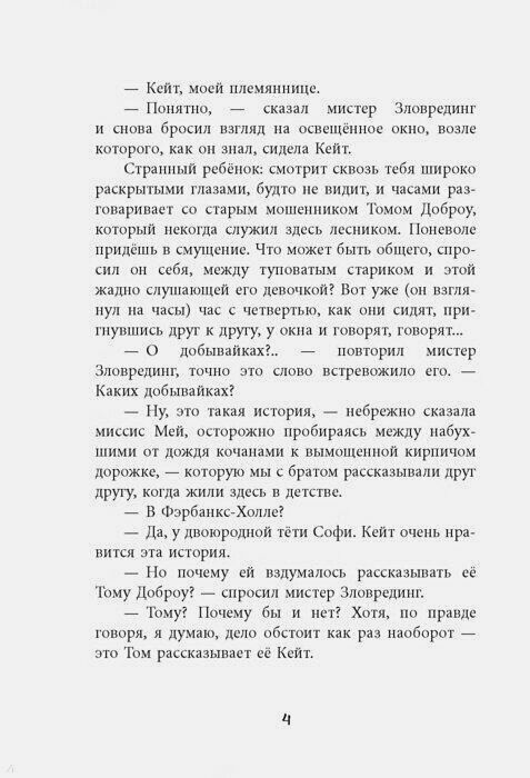 Добывайки на реке (Харченко Валерий В. (иллюстратор), Островская Галина Арсеньевна (переводчик), Нортон Мэри) - фото №12