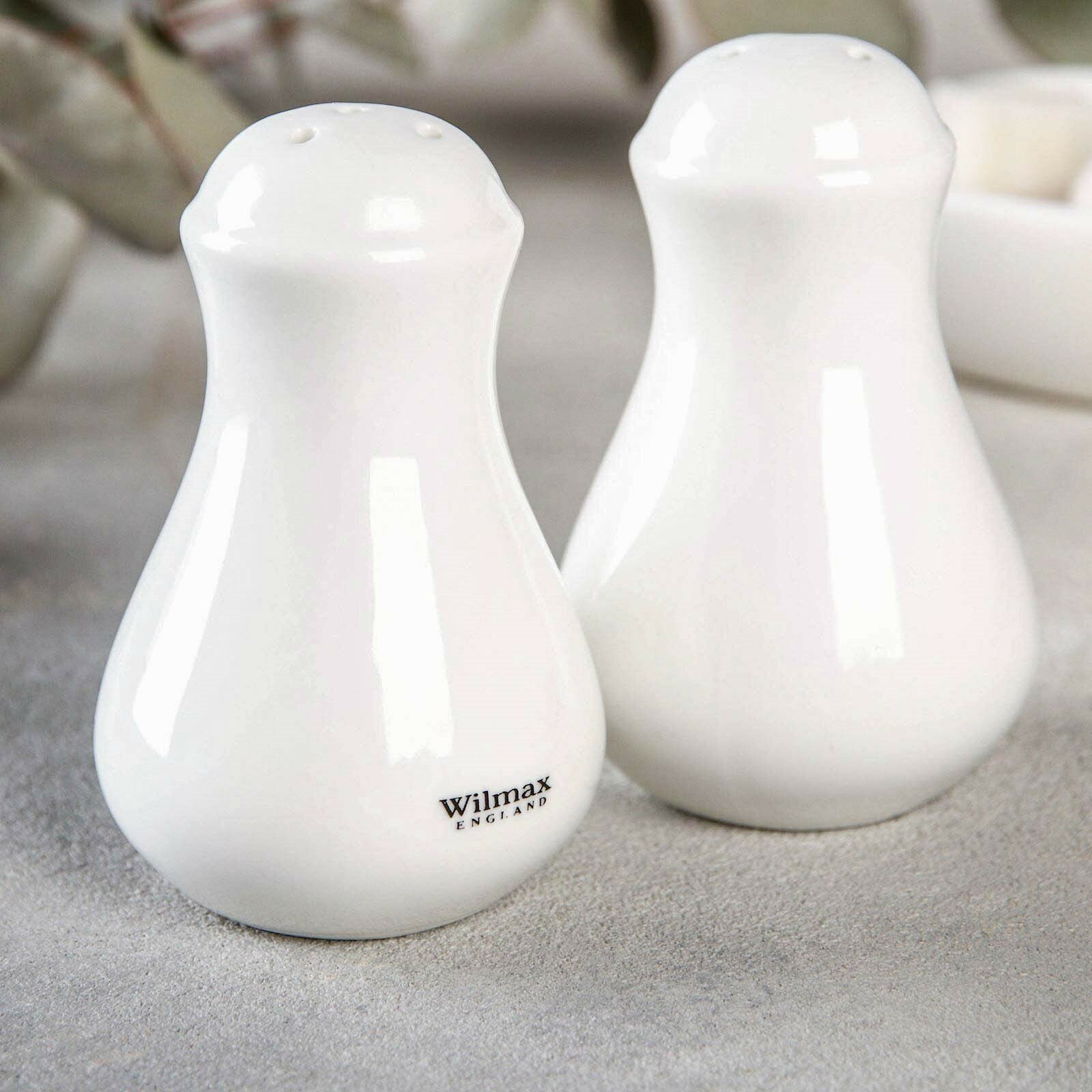 Набор для специй фарфоровый Wilmax солонка и перечница цвет белый