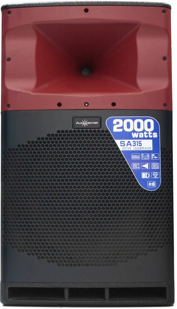Audiocenter SA315 - Активная DSP управляемая акустическая система с технологией BrainCore