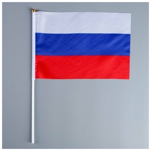 Флаг России, 20х28 см, шток (40 см) , полиэстер