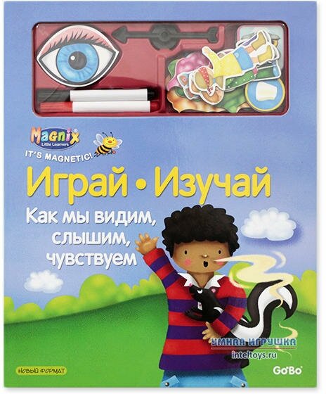 Магнитная книга-игра Новый формат «Как мы видим, слышим, чувствуем»