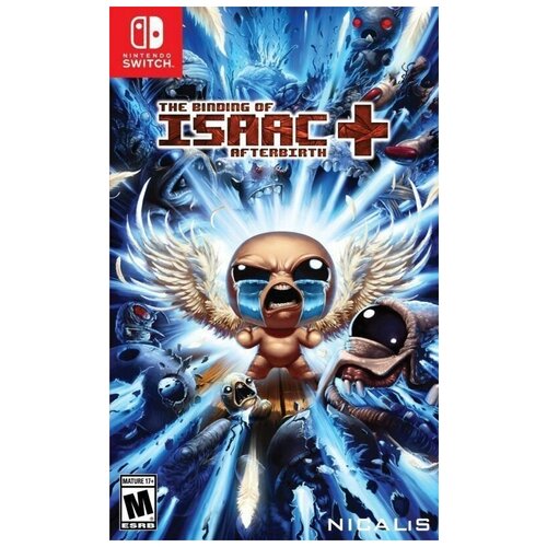 Binding of Isaac Afterbirth+ Switch