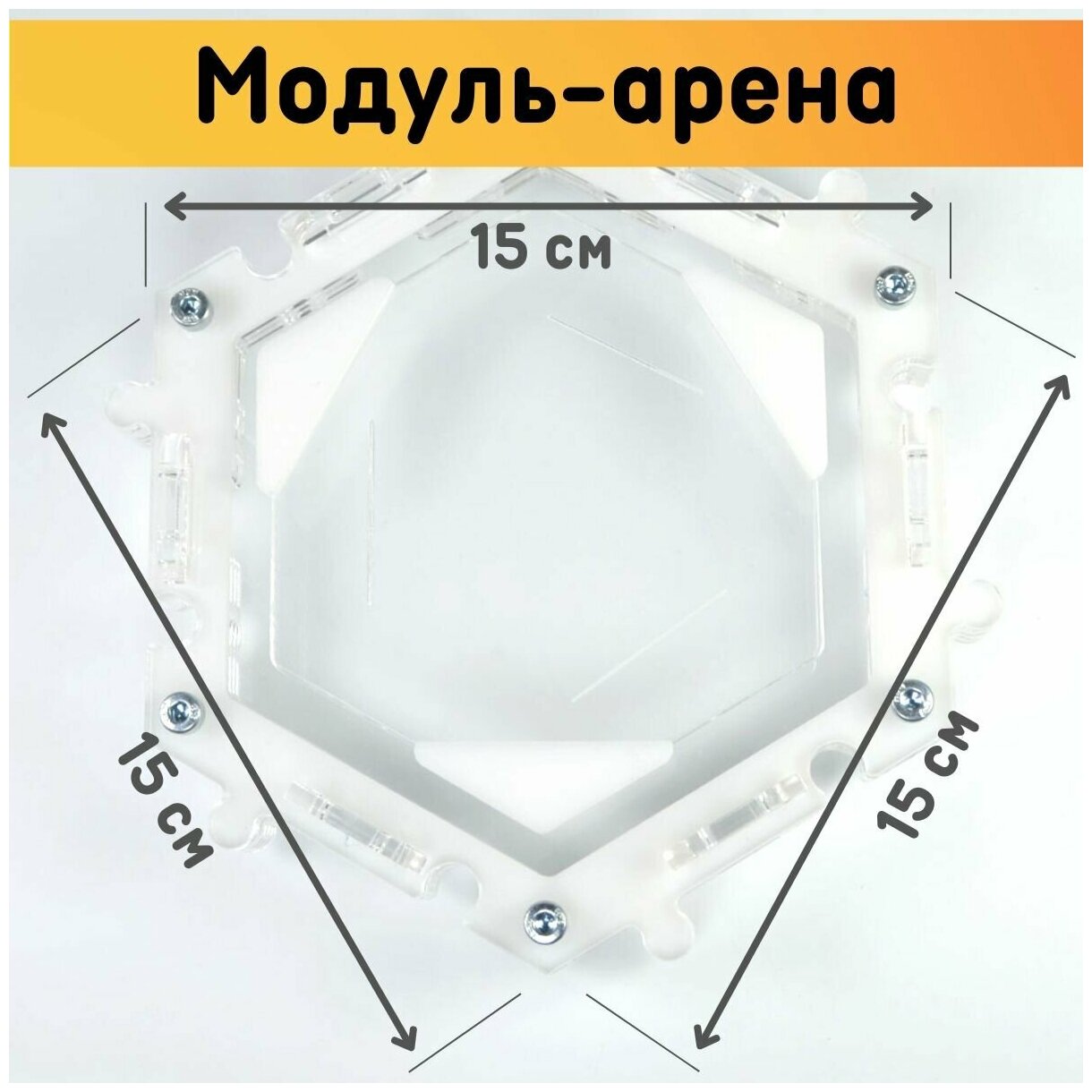 Муравьиная ферма "Стартовая" / Комплект для новичков - фотография № 4