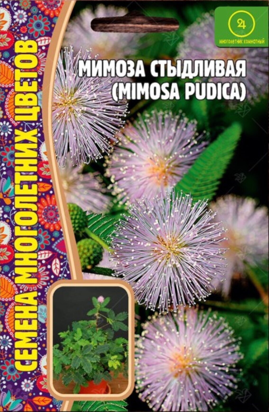 Семена Мимозы стыдливой (Mimosa pudica) (20 семян)