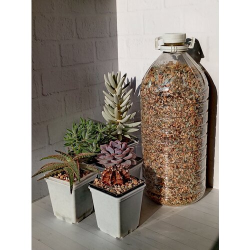 Грунт для кактусов и суккулентов Succultura 3 л.