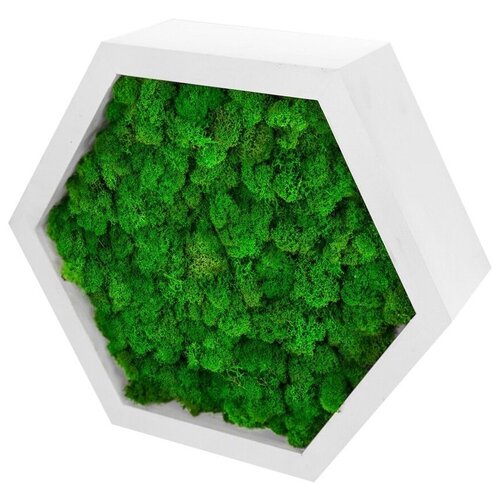 Полка - пано со мхом 