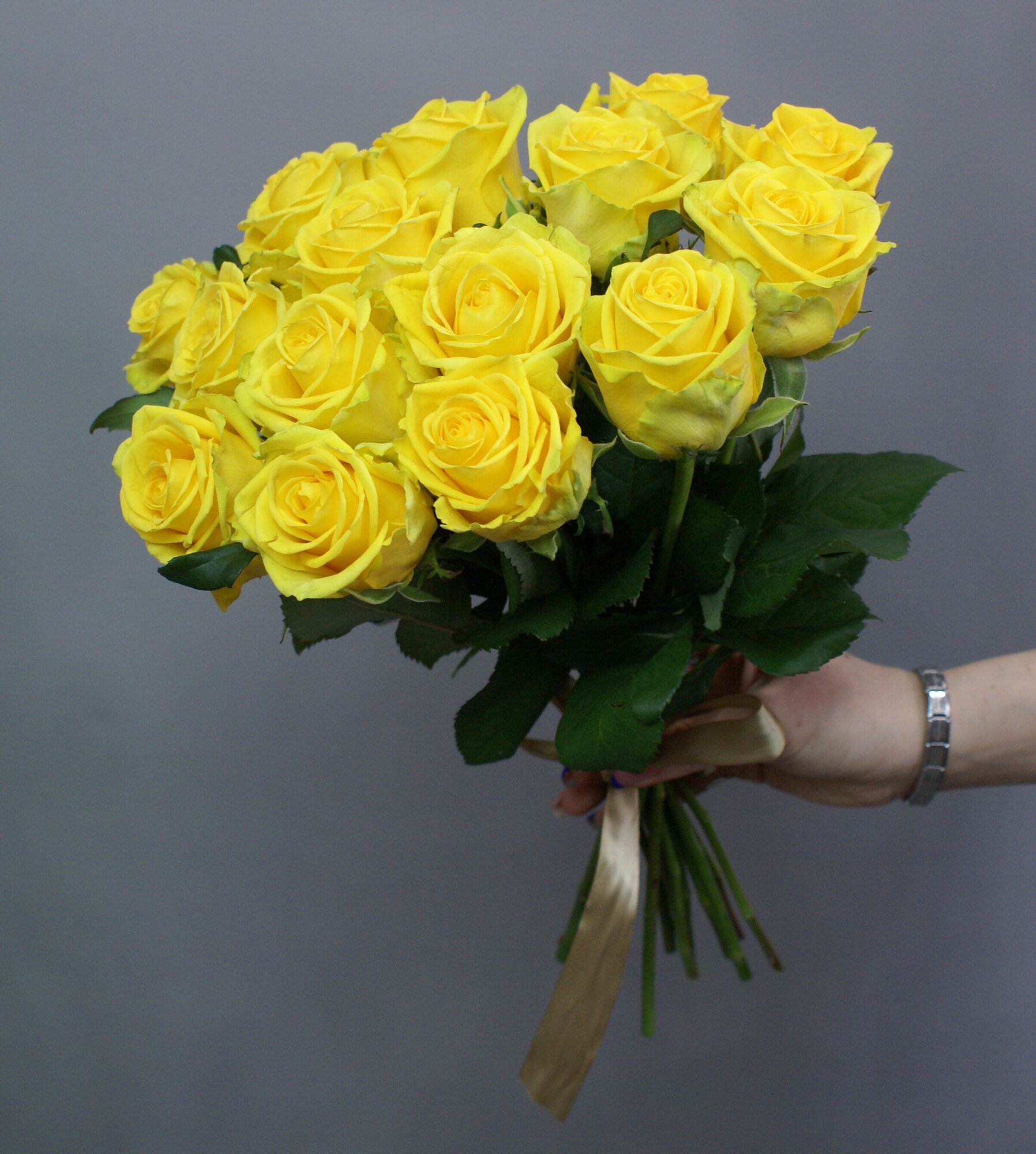 Розы желтые 15 штук,"Рассвет" под ленту 45 см Россия(большой бутон)