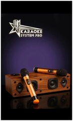 Караоке-система для дома с беспроводными микрофонами Kaoraoke System Pro
