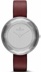 Наручные часы SKAGEN SKW2273